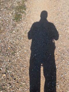 Long shadows in the afternoon on the Camino de Santiago.